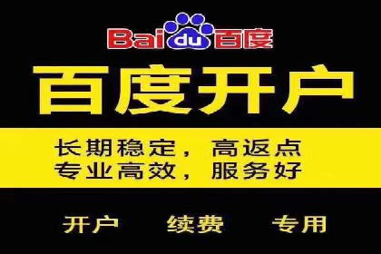 百度广告推广案例：助力企业快速成长